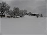 Tržič - Planina Spodnja Konjščica